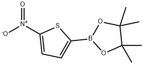 5-硝基噻吩-2-硼酸频哪醇酯 结构式