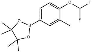 2-(4-(二氟甲氧基)-3-甲基苯基)-4,4,5,5-四甲基-1,3,2-二氧硼烷 结构式