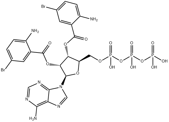 Bis-Br-ANT-ATP 结构式