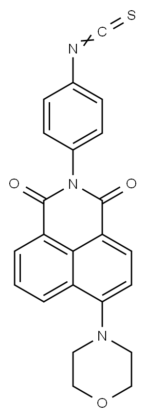 4-morpholinyl-1,8-naphthalimide-phenylisothiocyanate 结构式