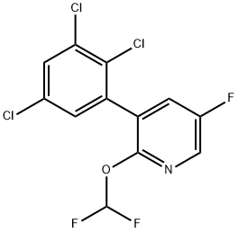 2-(Difluoromethoxy)-5-fluoro-3-(2,3,5-trichlorophenyl)pyridine 结构式