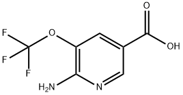 6-氨基-5-(三氟甲氧基)烟酸 结构式