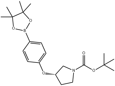 (S)-3-(4-(4,4,5,5-四甲基-1,3,2-二氧杂硼杂环戊烷-2-基)苯氧基)吡咯烷-1-羧酸叔丁酯 结构式