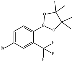 2-(4-BROMO-2-(TRIFLUOROMETHYL)PHENYL)-4,4,5,5-TETRAMETHYL 结构式