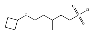 5-环丁氧基-3-甲基戊烷-1-磺酰氯 结构式