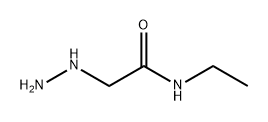 Acetamide, N-ethyl-2-hydrazinyl- 结构式