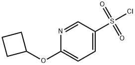 3-Pyridinesulfonyl chloride, 6-(cyclobutyloxy)- 结构式