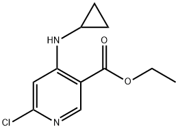 6-氯-4-(环丙基氨基)烟酸乙酯 结构式