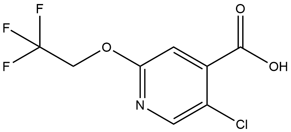 5-Chloro-2-(2,2,2-trifluoroethoxy)-4-pyridinecarboxylic acid 结构式