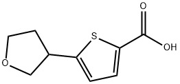 5-(oxolan-3-yl)thiophene-2-carboxylic acid 结构式