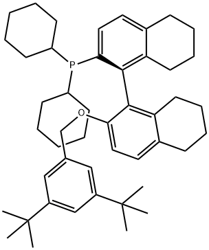 (1R)-2′-[[3,5-双(1,1-二甲基乙基)苯基]甲氧基]-5,5′,6,6′,7,7′,8,8′-八氢[1,1′-联萘]-2-基]二环己基膦 结构式