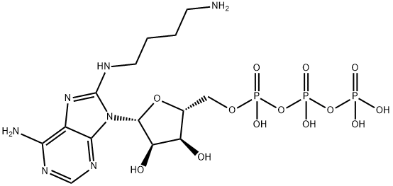 8-[(4-Amino)butyl]-amino-ATP 结构式