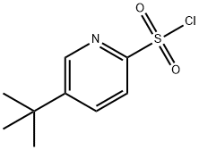 2-Pyridinesulfonyl chloride, 5-(1,1-dimethylethyl)- 结构式