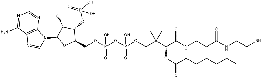 Coenzyme A, S-heptanoate 结构式