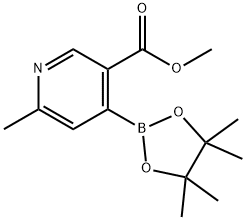 6-甲基-4-(4,4,5,5-四甲基-1,3,2-二氧硼杂环戊烷-2-基)烟酸甲酯 结构式