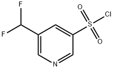 5-(二氟甲基)吡啶-3-磺酰氯 结构式
