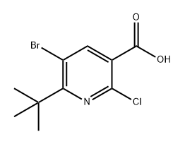 5-溴-6-(叔丁基)-2-氯烟酸 结构式