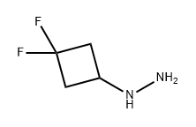 Hydrazine, (3,3-difluorocyclobutyl)- 结构式