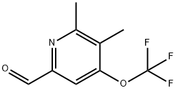 2,3-Dimethyl-4-(trifluoromethoxy)pyridine-6-carboxaldehyde 结构式