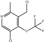 5-Chloro-3-(chloromethyl)-2-methyl-4-(trifluoromethoxy)pyridine 结构式