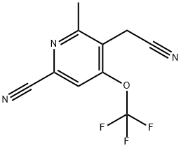 6-Cyano-2-methyl-4-(trifluoromethoxy)pyridine-3-acetonitrile 结构式