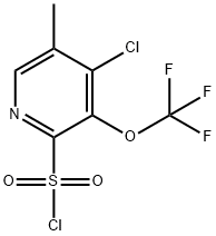 4-Chloro-5-methyl-3-(trifluoromethoxy)pyridine-2-sulfonyl chloride 结构式
