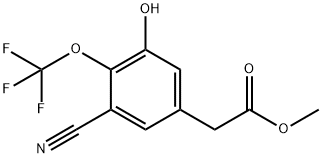 Methyl 3-cyano-5-hydroxy-4-(trifluoromethoxy)phenylacetate 结构式