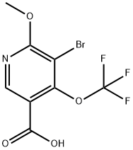 3-Bromo-2-methoxy-4-(trifluoromethoxy)pyridine-5-carboxylic acid 结构式