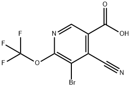 3-Bromo-4-cyano-2-(trifluoromethoxy)pyridine-5-carboxylic acid 结构式