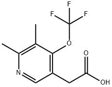 2,3-Dimethyl-4-(trifluoromethoxy)pyridine-5-acetic acid 结构式