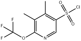 3,4-Dimethyl-2-(trifluoromethoxy)pyridine-5-sulfonyl chloride 结构式