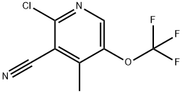 2-Chloro-3-cyano-4-methyl-5-(trifluoromethoxy)pyridine 结构式