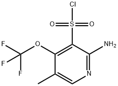 2-Amino-5-methyl-4-(trifluoromethoxy)pyridine-3-sulfonyl chloride 结构式