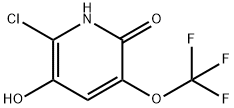 2-Chloro-3,6-dihydroxy-5-(trifluoromethoxy)pyridine 结构式