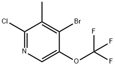 4-Bromo-2-chloro-3-methyl-5-(trifluoromethoxy)pyridine 结构式