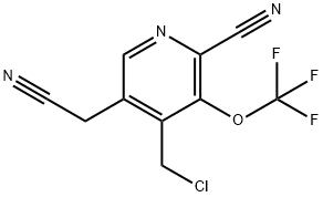 4-(Chloromethyl)-2-cyano-3-(trifluoromethoxy)pyridine-5-acetonitrile 结构式