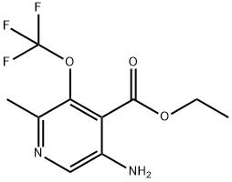Ethyl 5-amino-2-methyl-3-(trifluoromethoxy)pyridine-4-carboxylate 结构式