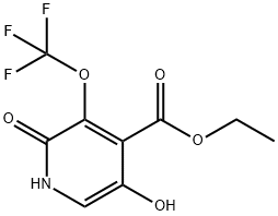 Ethyl 2,5-dihydroxy-3-(trifluoromethoxy)pyridine-4-carboxylate 结构式