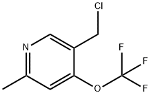 5-(Chloromethyl)-2-methyl-4-(trifluoromethoxy)pyridine 结构式