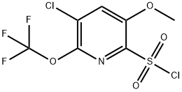 3-Chloro-5-methoxy-2-(trifluoromethoxy)pyridine-6-sulfonyl chloride 结构式