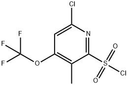 6-Chloro-3-methyl-4-(trifluoromethoxy)pyridine-2-sulfonyl chloride 结构式