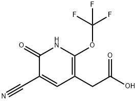 3-Cyano-2-hydroxy-6-(trifluoromethoxy)pyridine-5-acetic acid