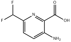 3-氨基-6-(二氟甲基)吡啶甲酸 结构式