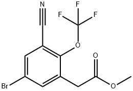 Benzeneacetic acid, 5-bromo-3-cyano-2-(trifluoromethoxy)-, methyl ester