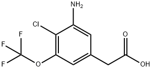 3-Amino-4-chloro-5-(trifluoromethoxy)phenylacetic acid 结构式