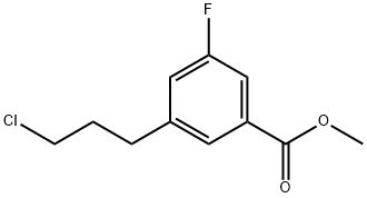 Methyl 3-(3-chloropropyl)-5-fluorobenzoate 结构式