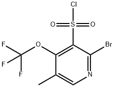 2-Bromo-5-methyl-4-(trifluoromethoxy)pyridine-3-sulfonyl chloride 结构式