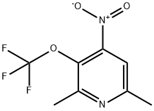 2,6-Dimethyl-4-nitro-3-(trifluoromethoxy)pyridine 结构式
