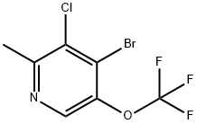 4-Bromo-3-chloro-2-methyl-5-(trifluoromethoxy)pyridine 结构式