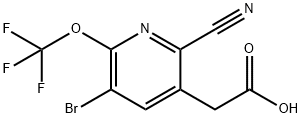 3-Bromo-6-cyano-2-(trifluoromethoxy)pyridine-5-acetic acid 结构式